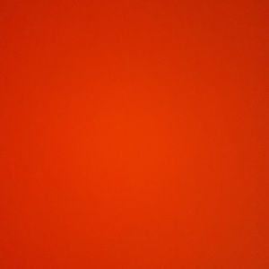 Meet your Posher, Anyela